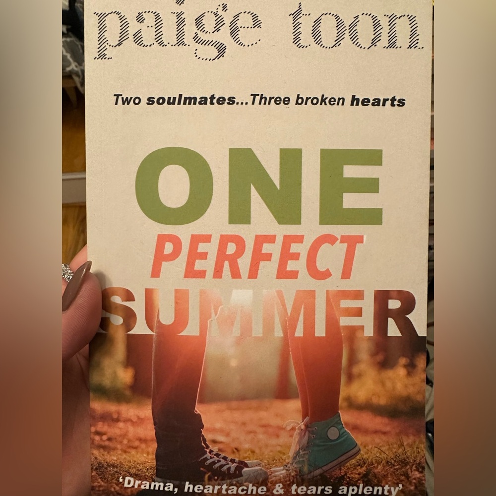 One Perfect Summer Book